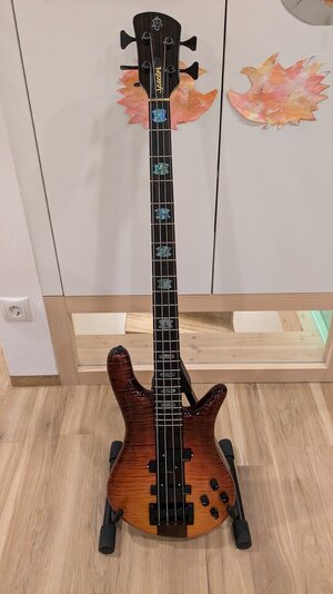 Spector NS-2 Fire Fade Custom