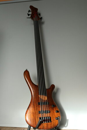 Fame (Mayones) Baphomet 5 Fretless Bass Gitarre