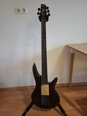 Ibanez GWB2 Gary Willis fretless