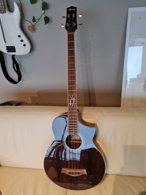 E-Bass Kustikbass Ibanez EWB 20WNE-NT1202