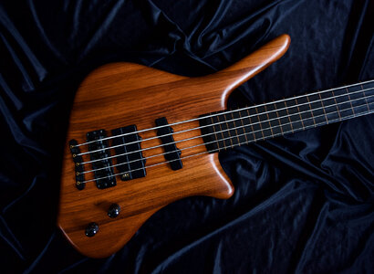 Warwick Dolphin Pro 1 Fretless 5