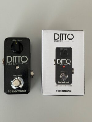 TC Electronic Ditto Looper