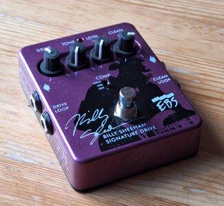 EBS Billy Sheehan Signature Drive (1).jpg