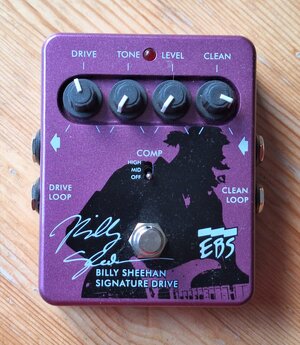 EBS Billy Sheehan Signature Drive (2).jpg