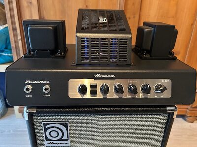 Ampeg PF-50t - Vollröhrenamp