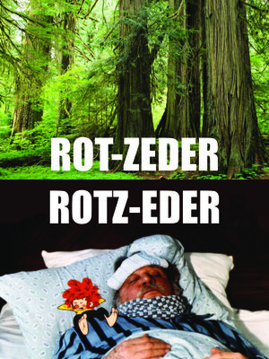 Rotzeder.jpg