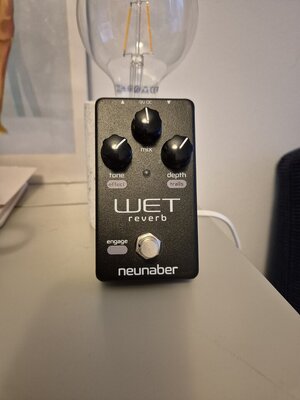 Neunaber Wet v5 Reverb