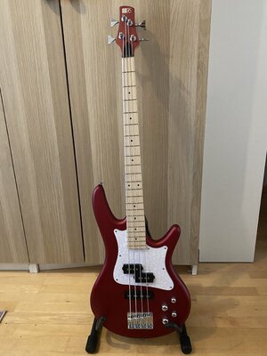 Ibanez SRMD200