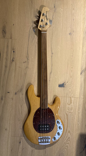 Fretless Stingray IV