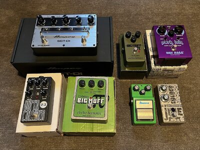 Ampeg SGT-DI, Supercollider, Pork Loin, Bass Muff, Green Muff, Jive, Tube Screamer mit Mod