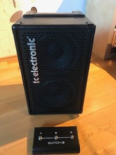 Verkaufe TC Electronic 2x8 Basscombo BG250