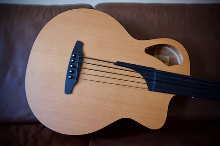 Furch Acoustic Fretless 5