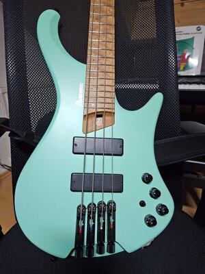 Ibanez EHB 1000S SFG