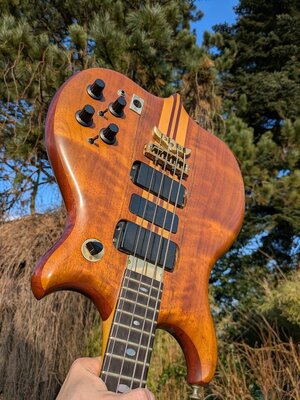 Alembic Series I 100 % Original