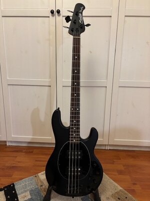 Sterling by Music Man Sting Ray HH RM Roasted Maple, StealthBlack