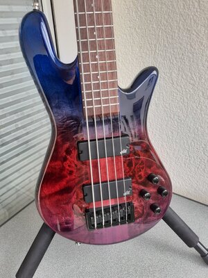 Spector Ethos 5