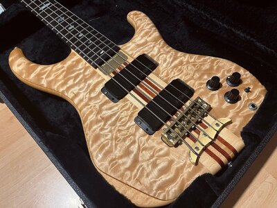 Alembic 5 Elan crazy new