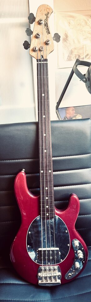 MusicMan StingRay fretless zu verkaufen! Baujahr 1989!