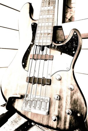 Suche 5 Saiter Jazz Bass Sadowsky, Xotic, Lakland....