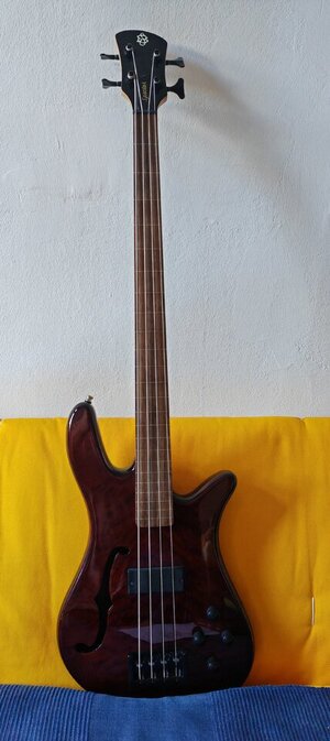 Spector Spectocore 4 FL