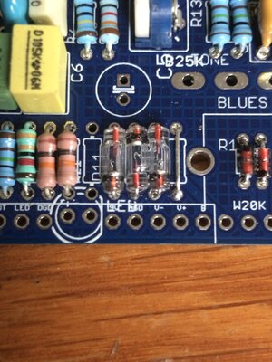 1N60 Germanium Diodes.JPG