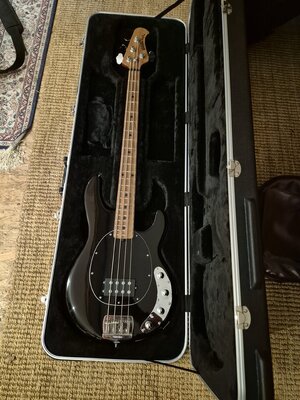 Music Man Stingray Special