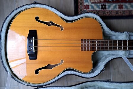 Aria_FEB_STD_acoustic_bass_natural_4.jpg