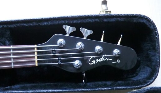 Godin_A5_05.JPG