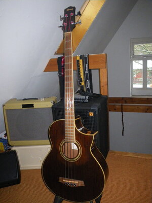 Ibanez Akustik Bass EWB20WNE-NT