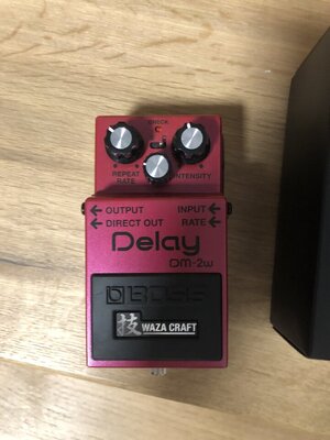 Boss analog Delay waza