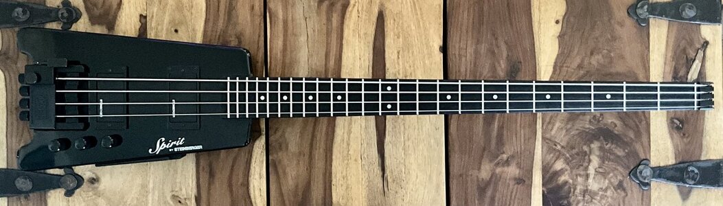 V/T Steinberger XT-2 DB Bass