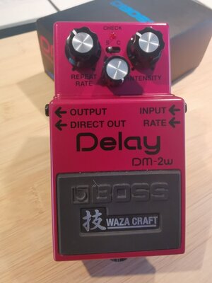 Boss DM-2W Delay