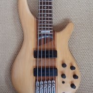 Austrobass