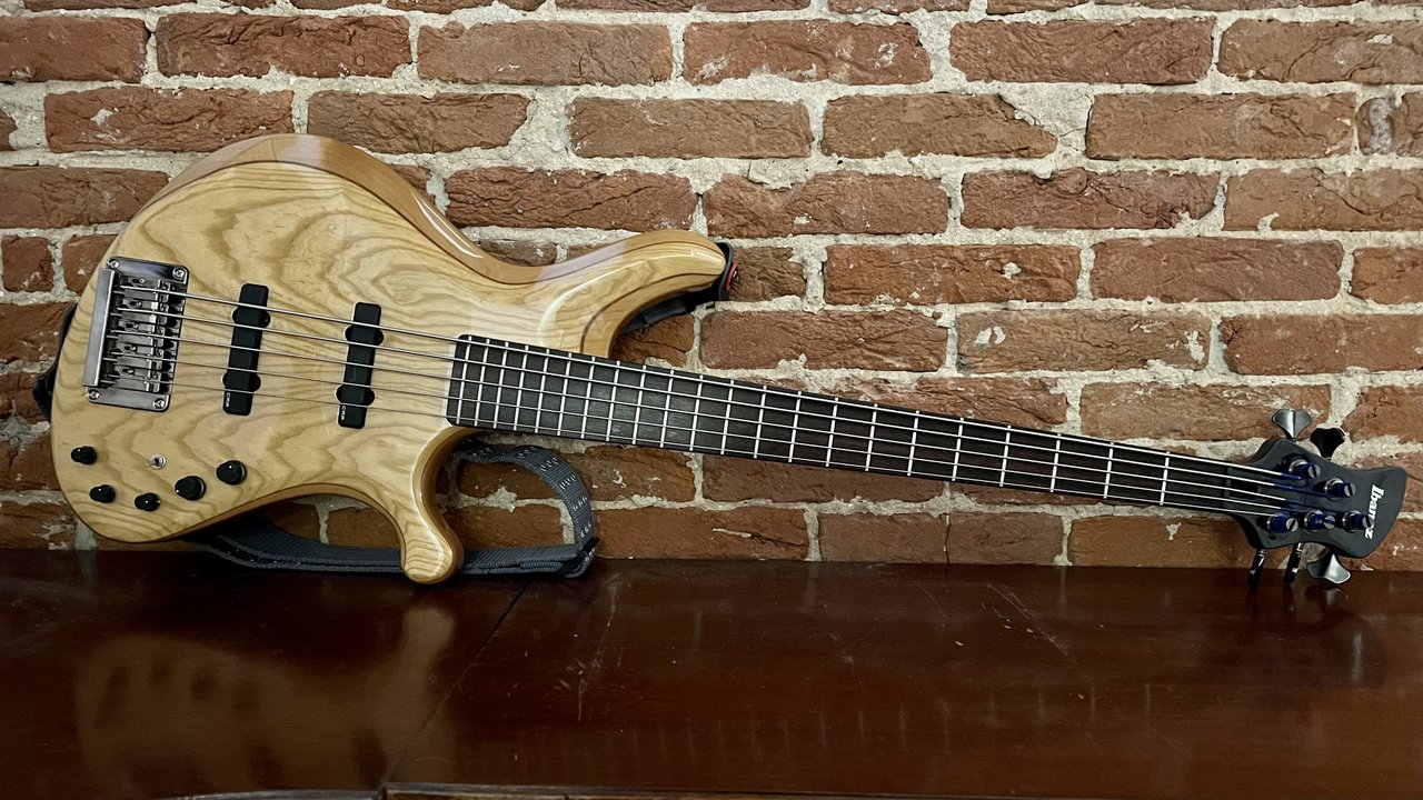 Ibanez g105 store